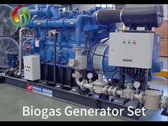 Biogas generator