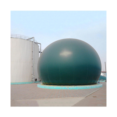 Animal Manure Anaerobic Digester Biogas Production In Bio Gas Plant Project