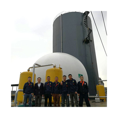 Pig Manure Digester Tank Biogas Anaerobic Digester Capacity
