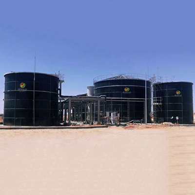 CSTR Anaerobic Reactor Biogas Anaerobic Digester Project In China
