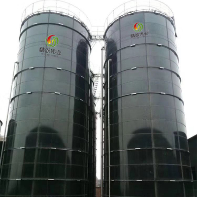 Industrial Anaerobic Digestion Equipment With Smooth And Polish Surface