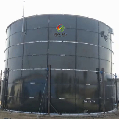 Industrial Anaerobic Digestion Equipment With Smooth And Polish Surface