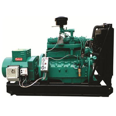 Spray Paint LPG Generator With Customized Power Output And Advanced Technology