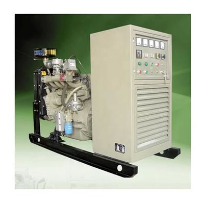 Customized Power Output Biogas Electricity Generator Corrosion Resistant