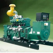 Anaerobic Digestion Biogas Electricity Generator Low Noise Level