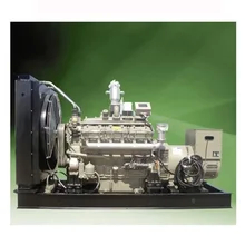 Internal Combustion Engine Biogas Powered LPG Generator