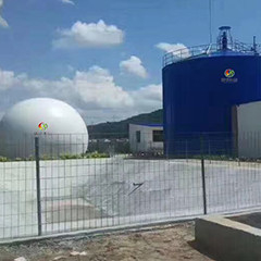 Giant Cow Manure Methane Digester ASBR Anaerobic Sequencing Batch Reactor