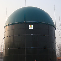 Biogas EGSB Reactor Upflow Anaerobic Sludge Blanket Digestion For Chicken Manure