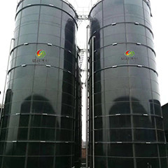 Biogas EGSB Reactor Upflow Anaerobic Sludge Blanket Digestion For Chicken Manure