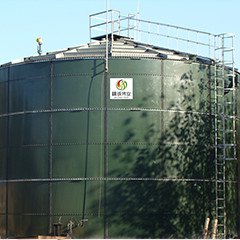 Biogas EGSB Reactor Upflow Anaerobic Sludge Blanket Digestion For Chicken Manure