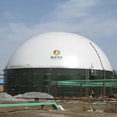 EGSB Anaerobic Reactor Wastewater Treatment Manure Methane Digester
