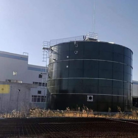 EGSB Anaerobic Reactor Wastewater Treatment Manure Methane Digester