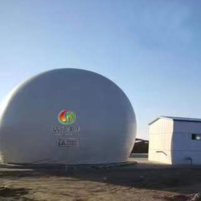 CH4 CO2 Biogas Plant Project Q235B Biogas Cogeneration Plant