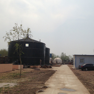 N2O Small Biogas Plant Project Methane Biogas Storage Balloon