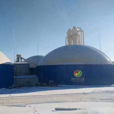 Green PDFE Double Membrane Biogas Holder Gas Holder In Biogas Plant
