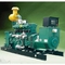 200KW Biogas Generator Set 415V Gas Turbine Electricity Generation
