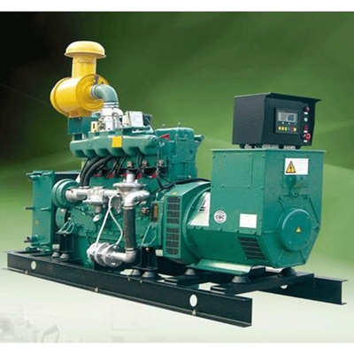 100KW Biomass Engine Driven Generators Biogas Electric Generator For Home
