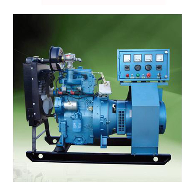 Lightweight Biogas Electricity Generator Customized Power Output