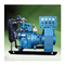 10KVA Biogas Motor Generator 500KW Methane Gas Generator Electricity