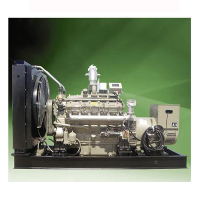Lightweight Biogas Electricity Generator Customized Power Output