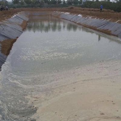 2.5mm Water Impermeable Membrane Black High Density Polyethylene Pond Liner