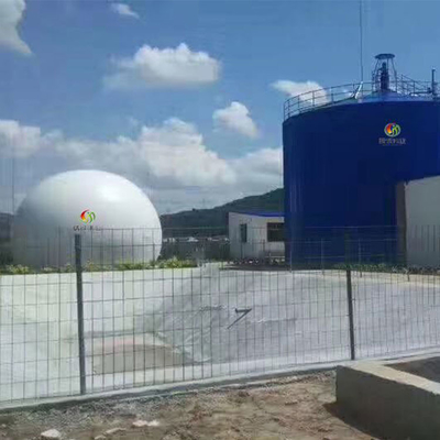 Expanded Granular Sludge Bed EGSB Wastewater Treatment Commercial Biogas Plant