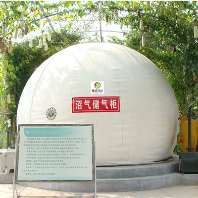 Airproof Biogas Gas Holder Wastewater Floating Gas Holder Type Biogas Plant Diagram