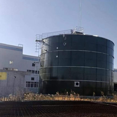 EGSB High Rate Anaerobic Reactor Anaerobic Fixed Film Reactor Economical