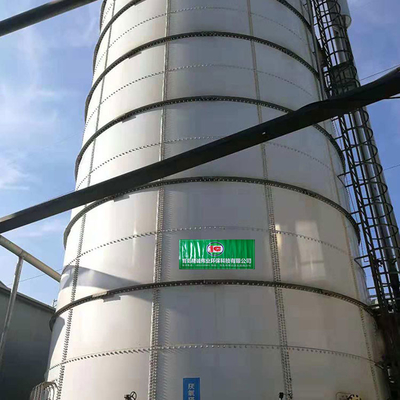 800m3 Anaerobic Digester Tank CSTR Advanced Waste Digester Biogas Tank